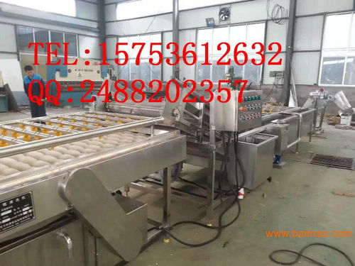 專注普通機(jī)械制造 解析胡蘿卜清洗機(jī)與食品清洗機(jī)的生產(chǎn)與價格