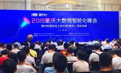 大數據賦能，軟件定義未來 重慶軟件開發企業在智能化浪潮下的機遇與路徑